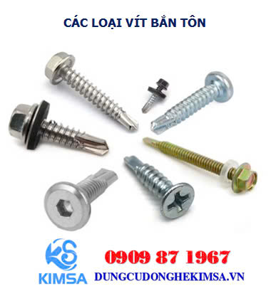 cac loai vit ban ton