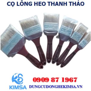 co long heo thanh thao