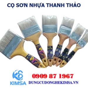 co quet son thanh thao